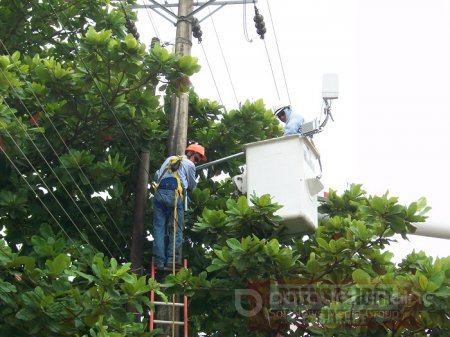 Por poda de árboles se registran hoy suspensiones de energía eléctrica en sectores de Aguazul