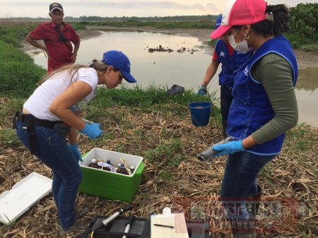 Corporinoquia investiga causas de mortandad de peces en Arauca
