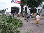 Jornada de poda de árboles que impiden visibilidad de cámaras de seguridad de Yopal