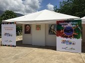 Exposición explora el mundo del arte en El Morro