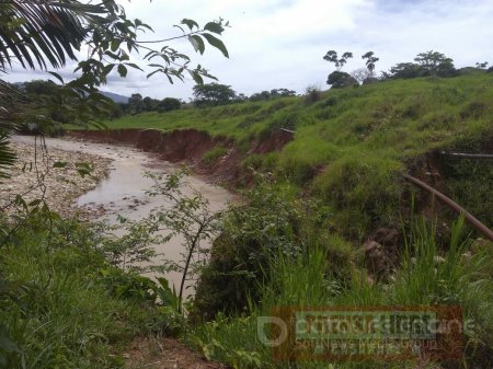 En riesgo acueducto de las veredas La Curama y Altamira de Pore