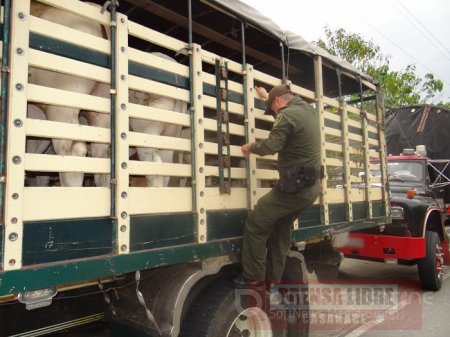 Aprobado en primer debate proyecto de ley contra el abigeato y carneo en Colombia