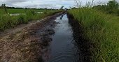Abril Tarache pide intervención inmediata de Minambiente ante derrame de petróleo en área rural de Nunchía
