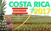 A Costa Rica misión comercial casanareña especializada en piña