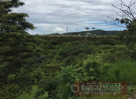 40 hectáreas de bosque fueron reforestadas por Equión en la vereda Rincón del Soldado
