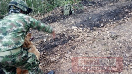 Ejército desactivó artefactos explosivos en cerro Pan de Azúcar de Pisba
