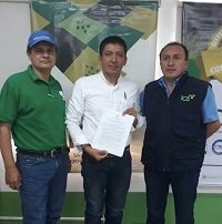 Cultivo de piña de Tauramena podrá exportar a Rusia y Estados Unidos al obtener certificado BPA