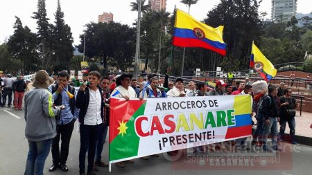 Arroceros de Casanare protestan hoy frente a la industria molinera