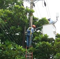 Suspensión de energía este miércoles en La Guafilla y Volcaneras