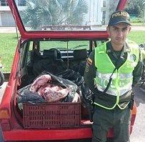 Policía incautó en Yopal 110 kilos de carne de res 