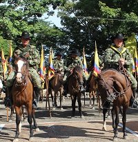 Alcaldía de Pore entregó 42 caballos aperados al Ejército Nacional 