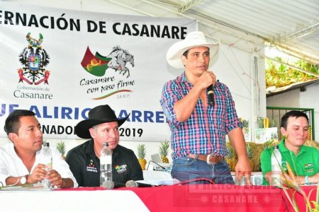 Arrancó proyecto de cultivo de 150 hectáreas de piña en nueve municipios de Casanare