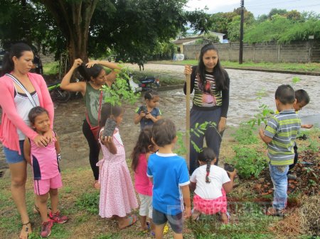 Ambicioso proyecto busca plantar un millón de árboles nativos en Casanare