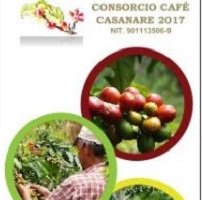Socializan establecimiento de 100 hectáreas de café en Casanare