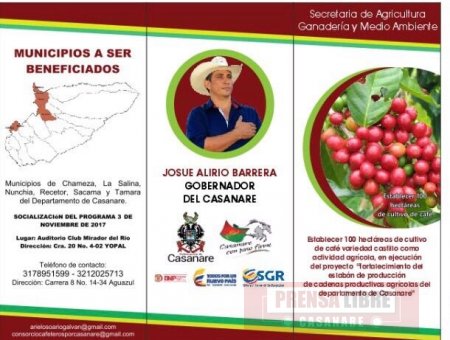 Socializan establecimiento de 100 hectáreas de café en Casanare