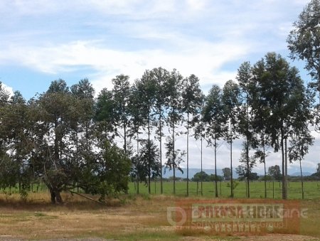 Covioriente deberá restaurar ecológicamente 228.32 hectáreas en la vía Villavicencio &#8211;Yopal 