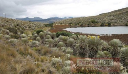 152.981 hectáreas en 5 áreas de páramos buscan ser protegidas por Corporinoquia 