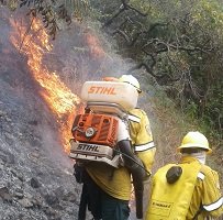 Más de mil hectáreas afectó incendio forestal en límites entre Casanare y Boyacá