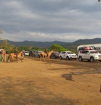 Fuerza Pública acompañará la caravana ecoturística Vamos pal Pauto    