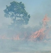 Incendio forestal en Trinidad amenaza reserva natural
