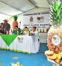 Gobernación invierte más de 2 mil millones de pesos en 73 nuevas hectáreas de cultivos en Yopal