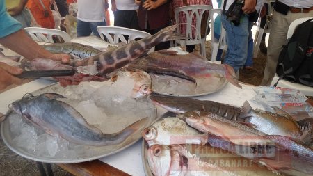 Recomendaciones para prevenir intoxicaciones por consumo de pescados y mariscos en época de Cuaresma y Semana Santa