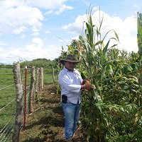 Convenio de adaptación al cambio climático en norte de Casanare suscrito por Ecopetrol empieza a dar resultados