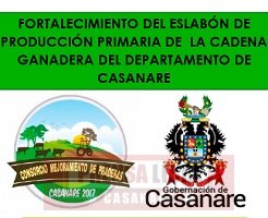 Jornadas de socialización para establecimiento de 1.000 hectáreas de praderas mejoradas en Casanare