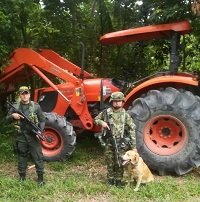 Recuperación de ganado y maquinaria agrícola al norte de Casanare     
