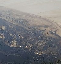 Planta de tratamiento de residuos petroleros en Pore estaría contaminando fuentes hídricas