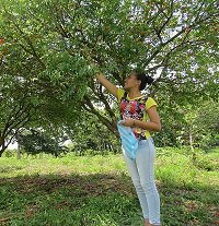 Frutos silvestres de la Orinoquia podrían convertirse en fuente de ingresos según Universidad Nacional