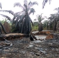 Por incidente ambiental en el pozo Lisama en Barrancabermeja Procuraduría investiga a presidente de Ecopetrol y suspende a vicepresidentes