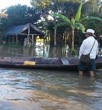 Inundadas varias veredas de Orocué por el río Meta. Alcaldía no aparece
