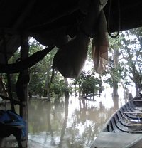 El río Meta se metió a la escuela de la vereda Caracaro en Orocué 