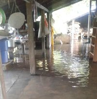 Paz de Ariporo también está afectado por inundaciones en sectores rurales
