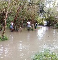 Ideam emitió Alerta Roja para los ríos Casanare, Pauto y Meta