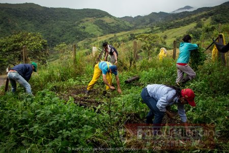 Proyecto de restauración ecológica en la vereda Rincón del Soldado de Yopal finalista en los Premios Latinoamérica Verde