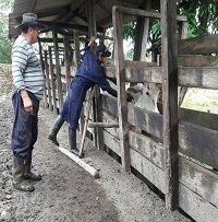 ICA socializó con ganaderos de Boyacá medidas sanitarias para controlar foco de fiebre aftosa