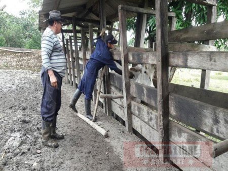 ICA socializó con ganaderos de Boyacá medidas sanitarias para controlar foco de fiebre aftosa