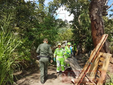 Inició plan rescate del parque La Iguana de Yopal