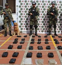 Nueva incautación de marihuana con destino al narcomenudeo en Yopal 