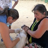 Jornadas de vacunación para mascotas en zona urbana de Yopal
