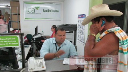 ICA continuara expidiendo guías sanitarias de movilización interna de animales en Casanare