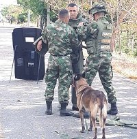 Ejército destruyó artefacto explosivo en Hato Corozal 