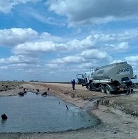 Cerca de 50 mil galones de agua diarios para salvar especies animales en Paz de Ariporo 