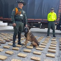 Camuflado en el tanque de un camión fue descubierto cargamento de marihuana en Yopal