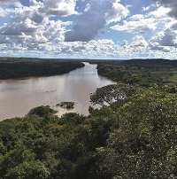 Instituto Humboldt y Cormacarena identificaron más de mil especies en ríos aledaños a La Macarena