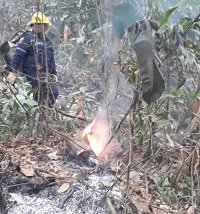 Hallados muertos dos voluntarios que apagaban incendio en montaña aledaña a Yopal