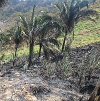 Petrolera Equión preocupada por afectaciones por incendios forestales