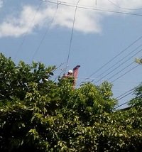 Suspensión de energía en sector rural de Yopal este martes